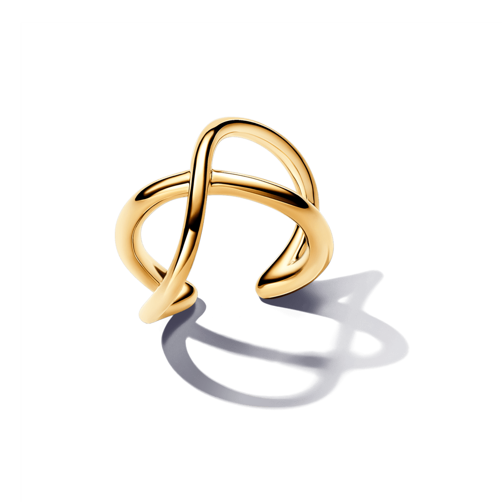 Organiskas formas bezgalības ausu kniede