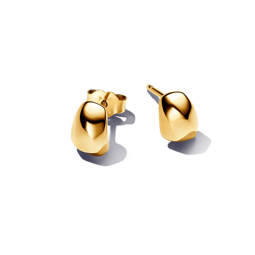 Organiskās formas oreola auskari