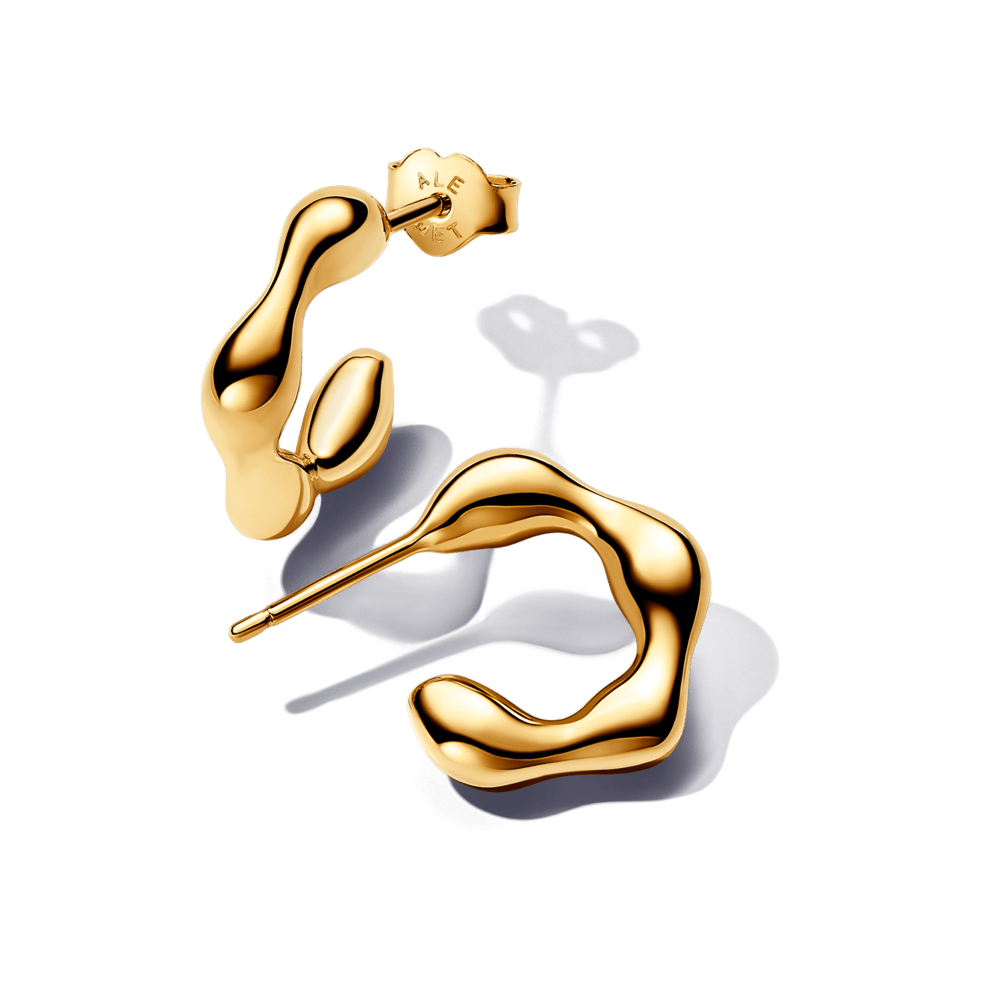 Organiskas formas atvērtie stīpiņu auskari