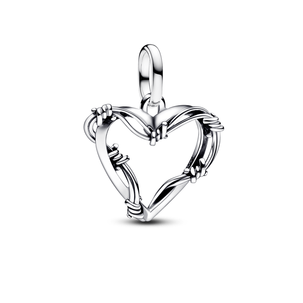 Sirds formas stieples medaljona amulets