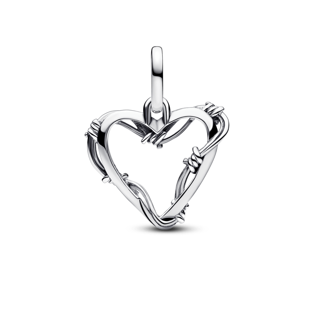 Sirds formas stieples medaljona amulets