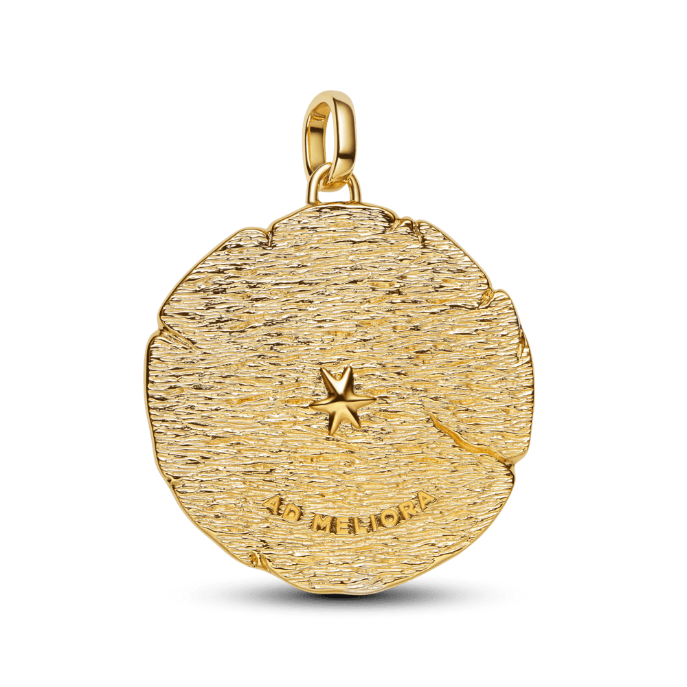 Šķērsojošo bultiņu lielizmēra medaljona amulets