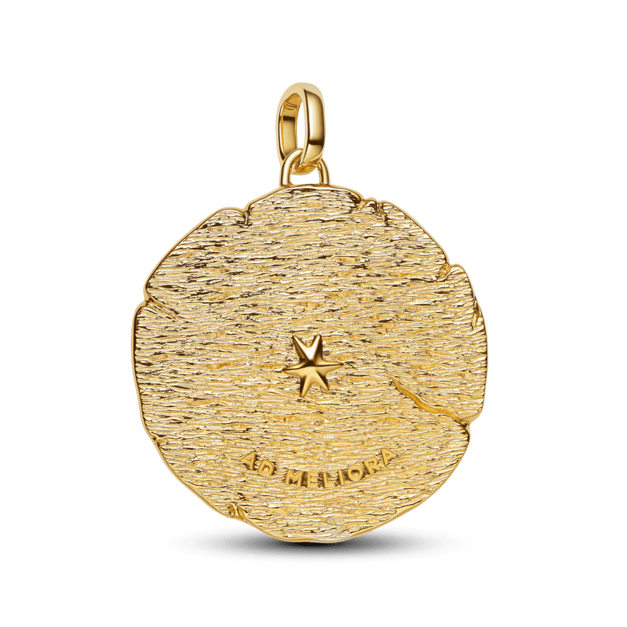 Šķērsojošo bultiņu lielizmēra medaljona amulets