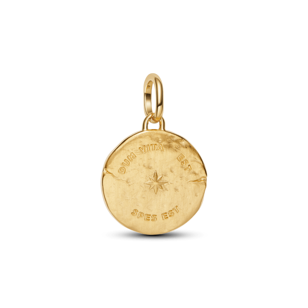 Medaljona amulets 'Bezdelīga'