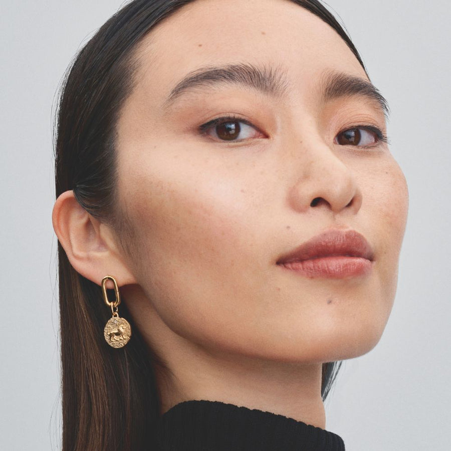 Lauvas medaljona amulets