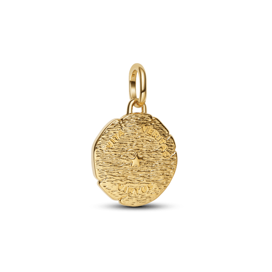 Lauvas medaljona amulets