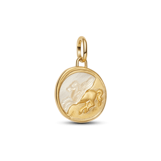 Pegasus medaljona amulets