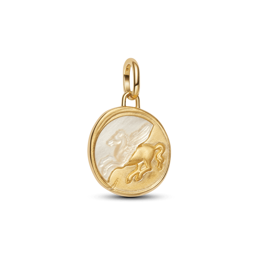 Pegasus medaljona amulets