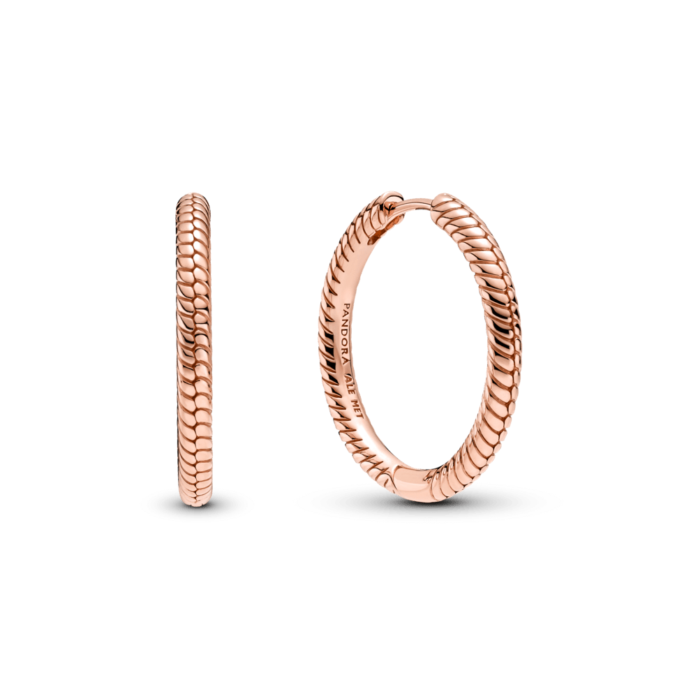 Pandora Moments riņķa auskari ar amuletu