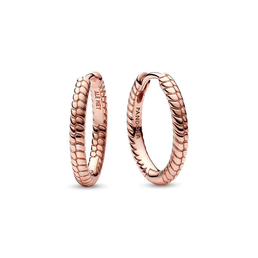 Pandora Moments mazie amuletu riņķa auskari