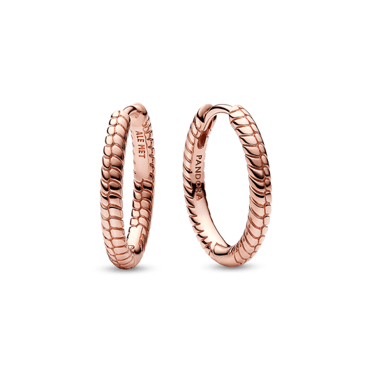 Pandora Moments mazie amuletu riņķa auskari