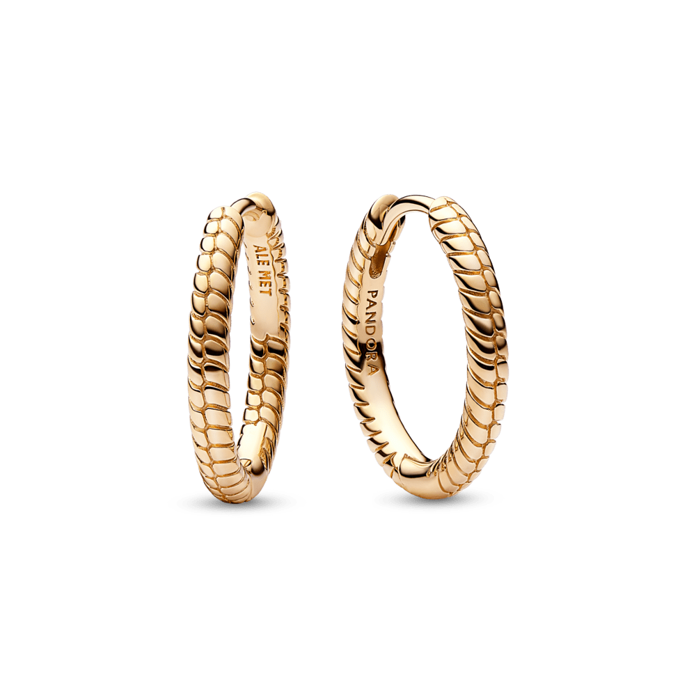 Pandora Moments mazie amuletu riņķa auskari