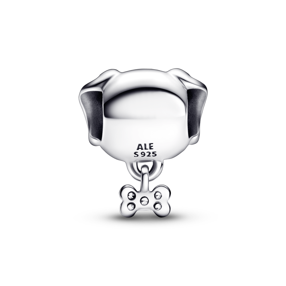 Suņa un kaula amulets