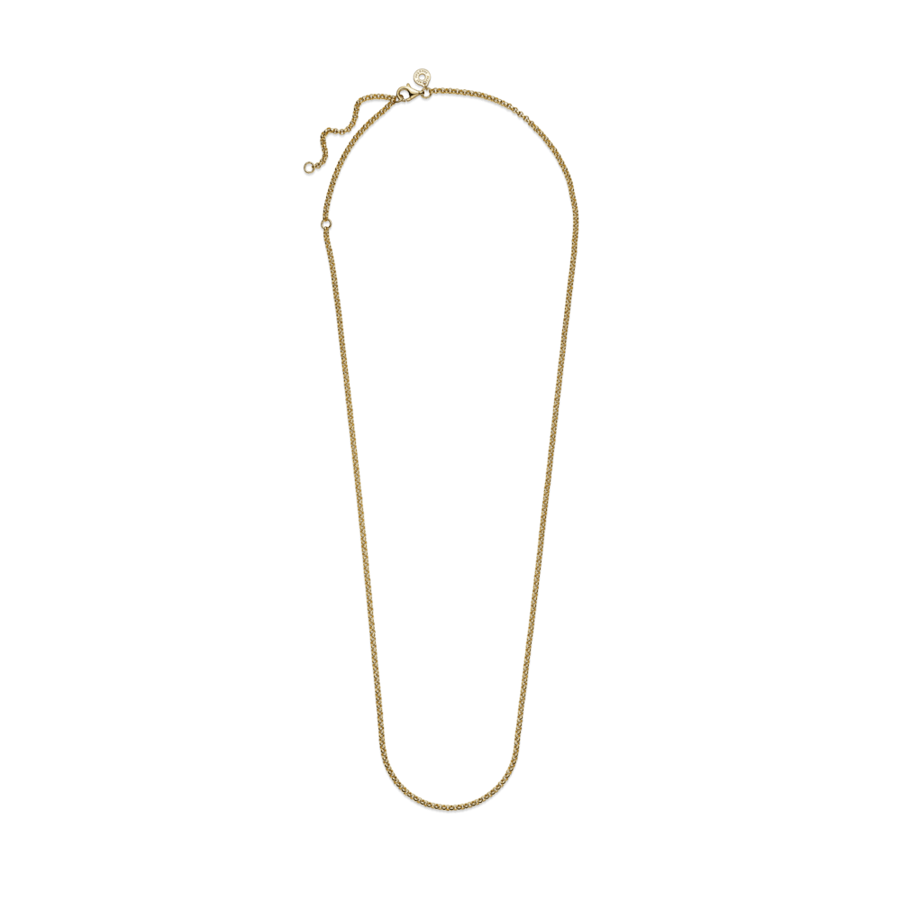 Apaļposmu ķēdītes kaklarota