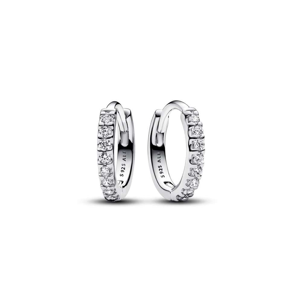 Mirdzošie apskāvienu auskari