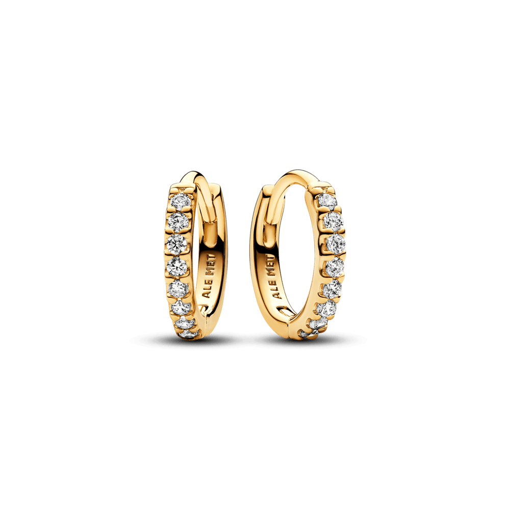 Dzirkstošie apskāviena auskari