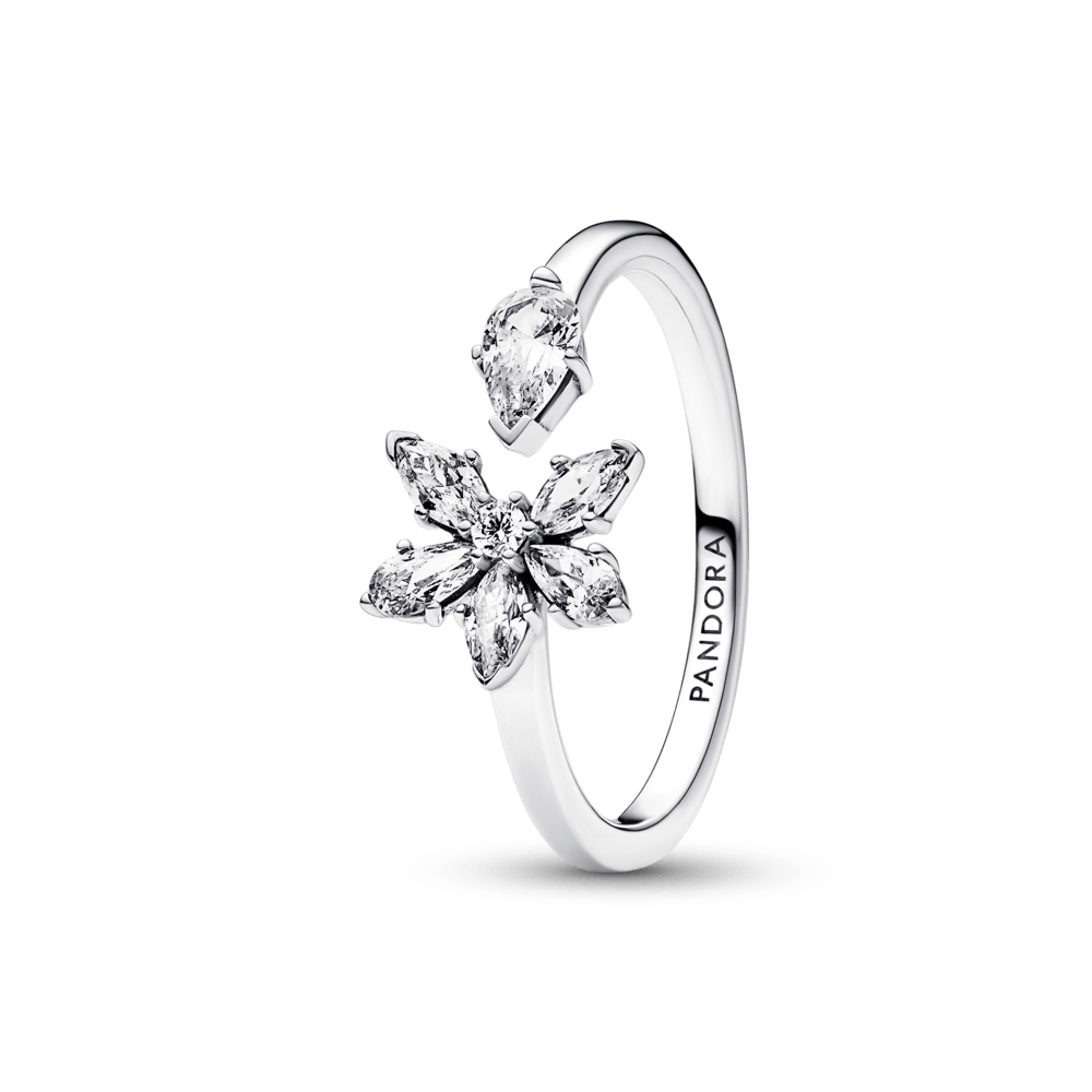 Mirdzošais atvērtā tipa herbārija ķekara gredzens