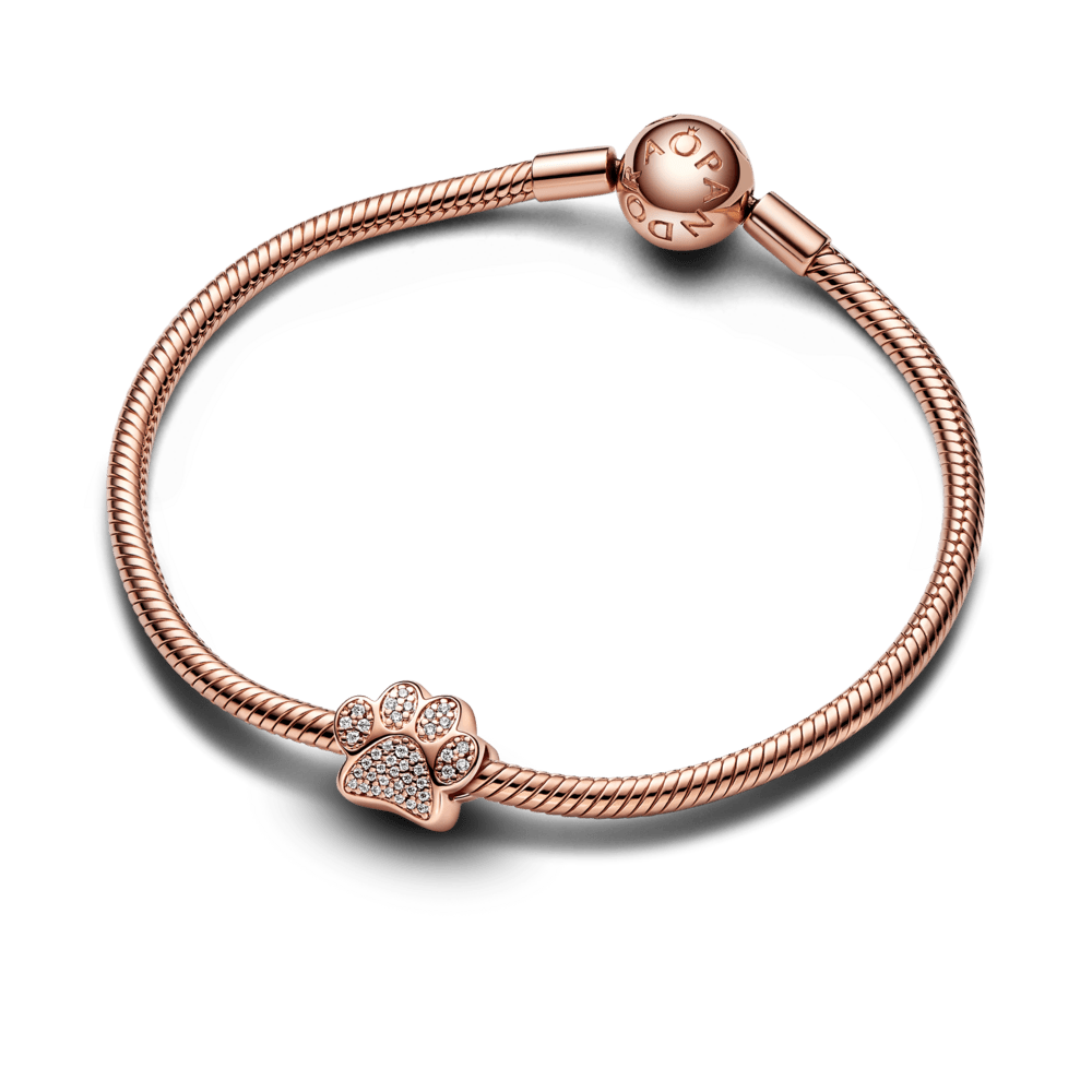 Mirdzošs ķepas nospieduma amulets