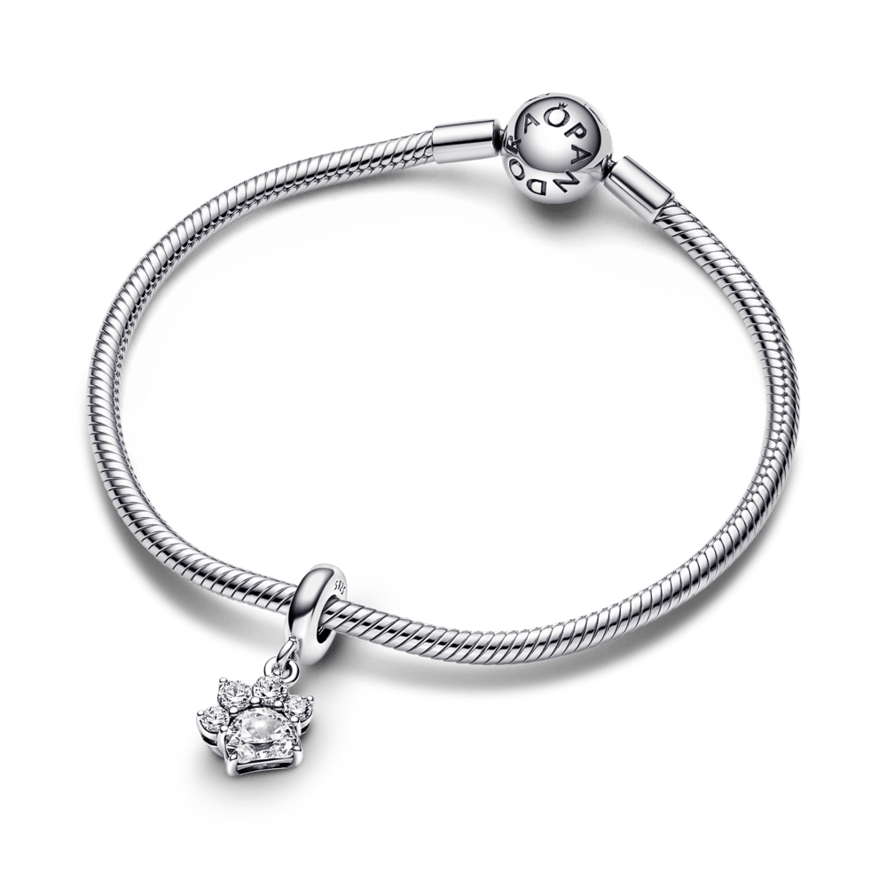 Mirdzošs piekarināmais mīļdzīvnieka ķepas nospieduma amulets