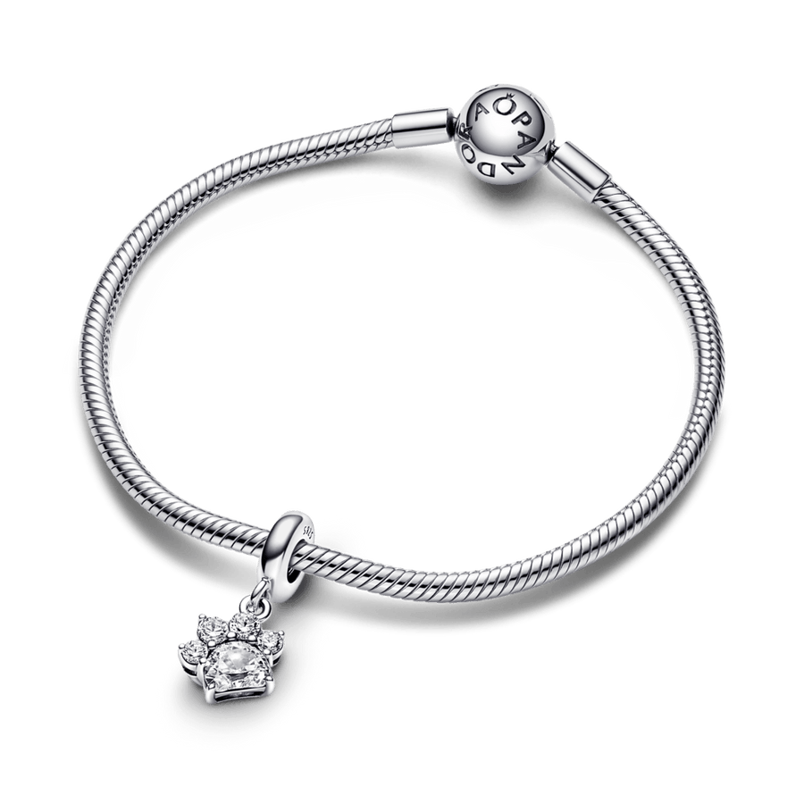Mirdzošs piekarināmais mīļdzīvnieka ķepas nospieduma amulets