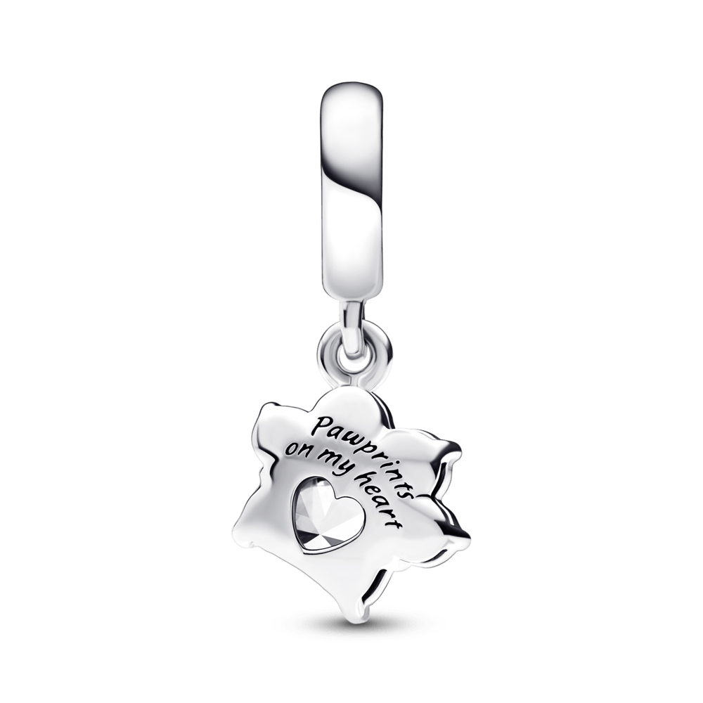Mirdzošs piekarināmais mīļdzīvnieka ķepas nospieduma amulets