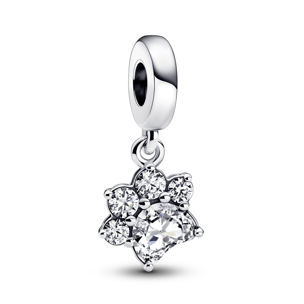 Mirdzošs piekarināmais mīļdzīvnieka ķepas nospieduma amulets