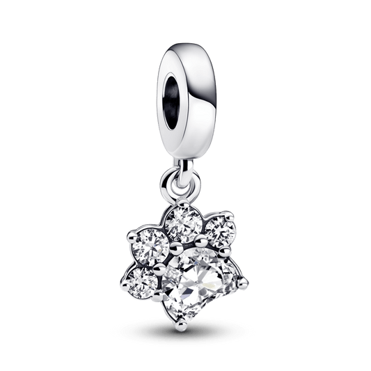 Mirdzošs piekarināmais mīļdzīvnieka ķepas nospieduma amulets