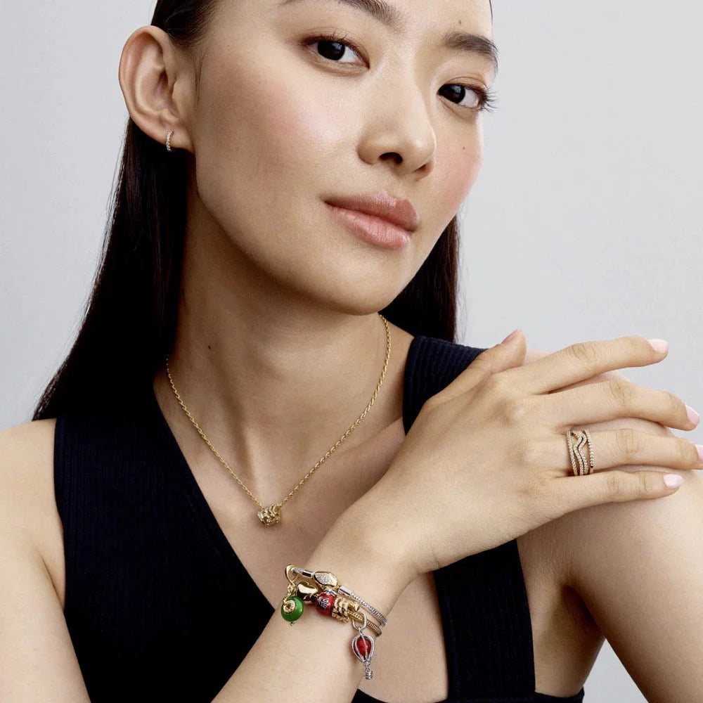 Saritinātas čūskas amulets