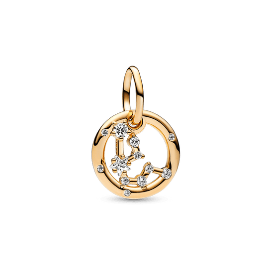 Ūdensvīra zodiaka piekarināmais amulets