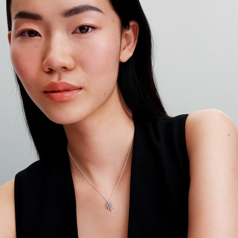 Kulona kaklarota Ziemeļzvaigzne