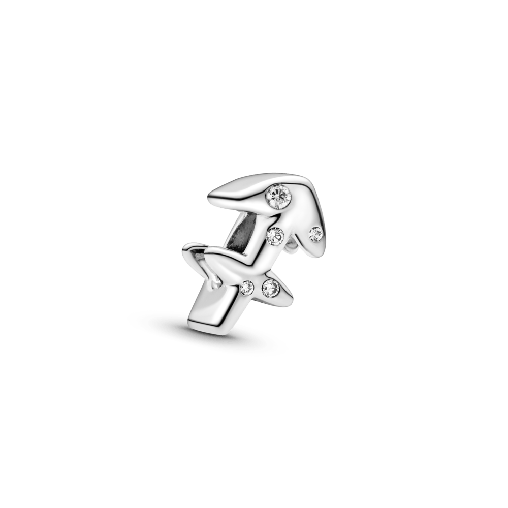 Strēlnieka zodiaka amulets