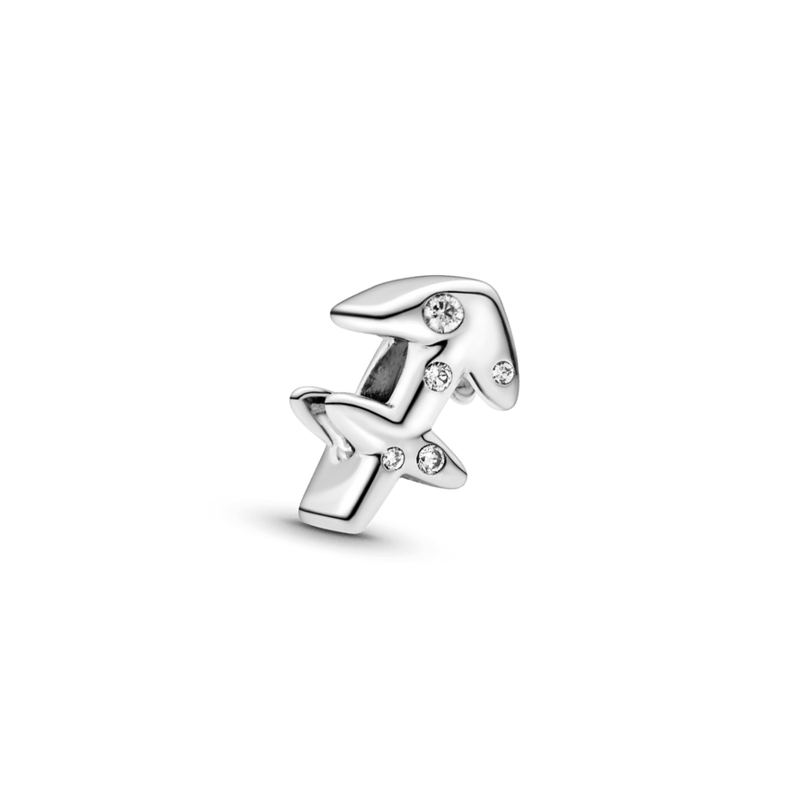 Strēlnieka zodiaka amulets