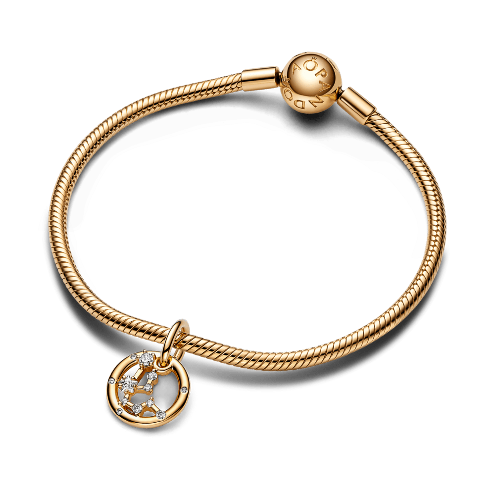 Ūdensvīra zodiaka piekarināmais amulets