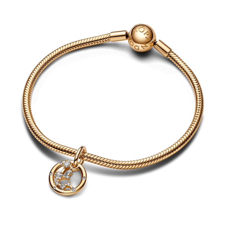 Ūdensvīra zodiaka piekarināmais amulets