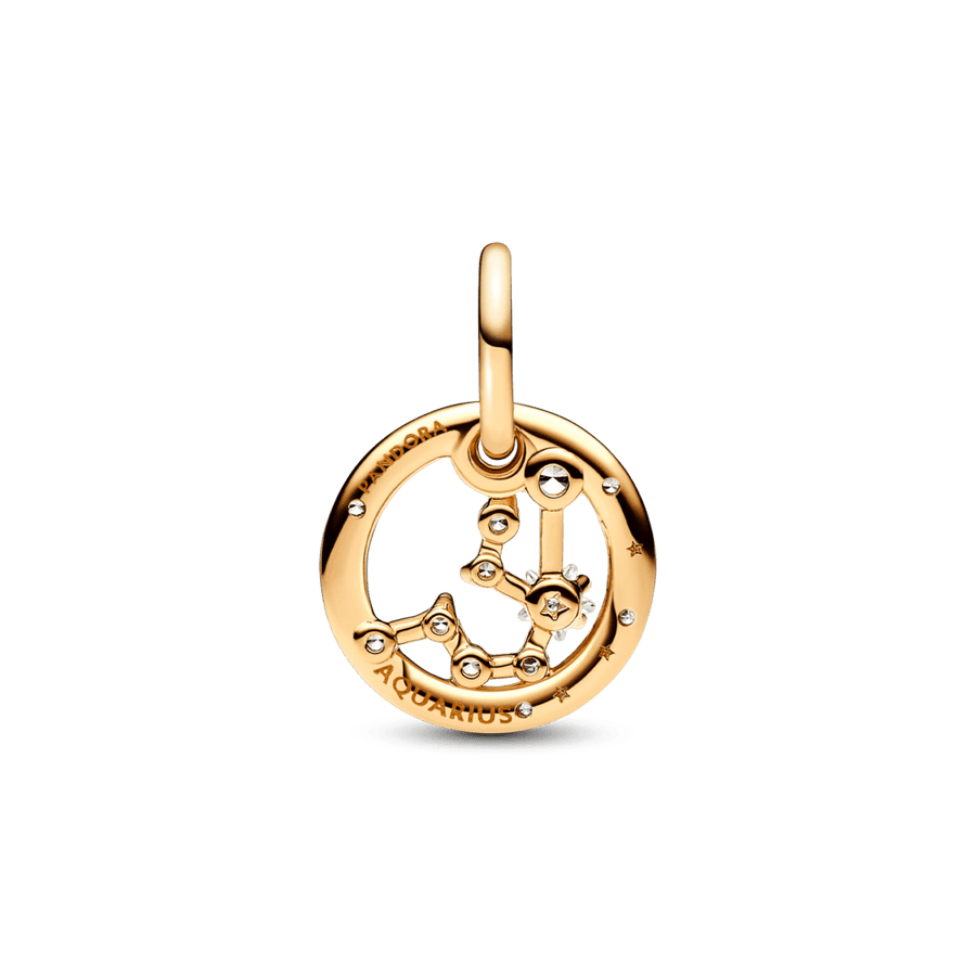 Ūdensvīra zodiaka piekarināmais amulets