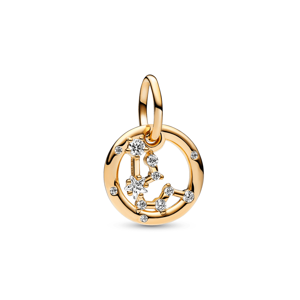 Ūdensvīra zodiaka piekarināmais amulets