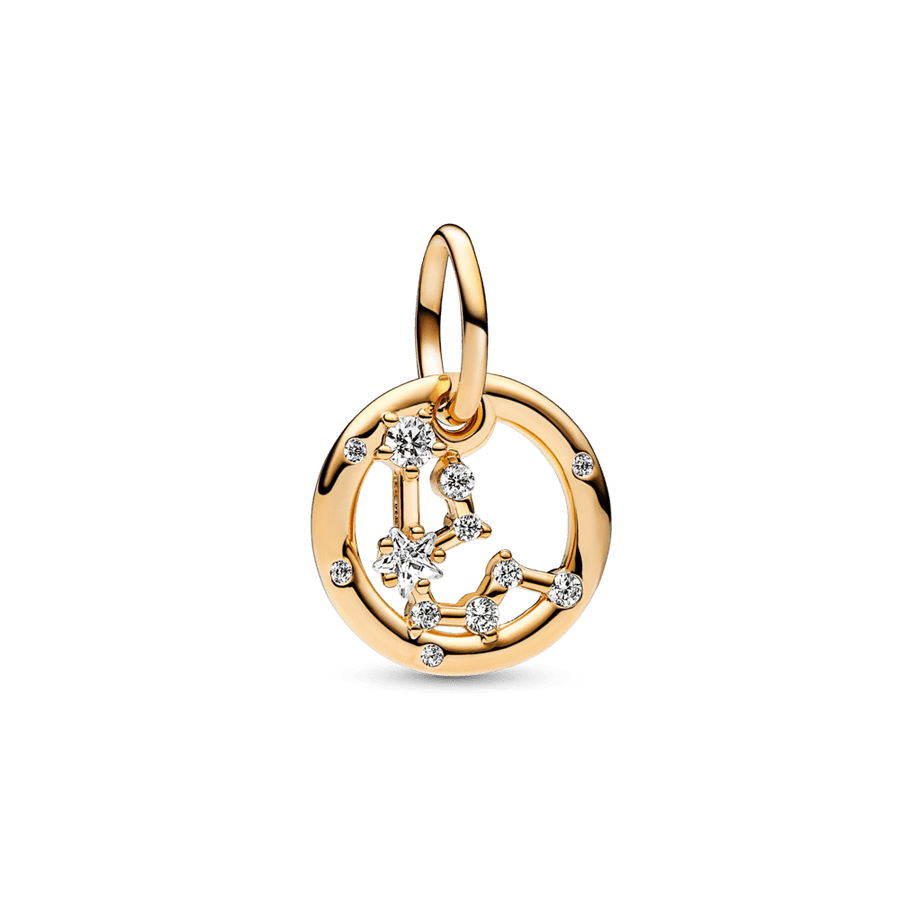 Ūdensvīra zodiaka piekarināmais amulets